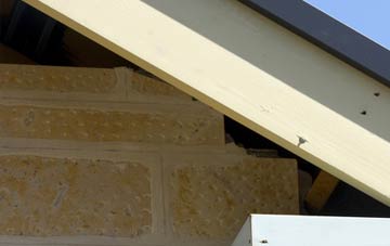 soffit repair Badharlick