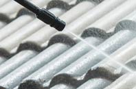 rated Badharlick roof cleaning companies